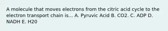 A molecule that moves electrons from the citric acid cycle to the electron transport chain is... A. Pyruvic Acid B. CO2. C. ADP D. NADH E. H20