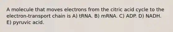 A molecule that moves electrons from the citric acid cycle to the electron-transport chain is A) tRNA. B) mRNA. C) ADP. D) NADH. E) pyruvic acid.