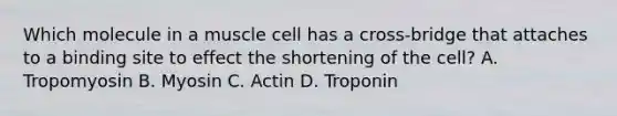 Which molecule in a muscle cell has a cross-bridge that attaches to a binding site to effect the shortening of the cell? A. Tropomyosin B. Myosin C. Actin D. Troponin