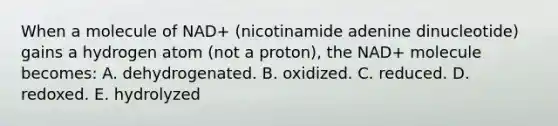 When a molecule of NAD+ (nicotinamide adenine dinucleotide) gains a hydrogen atom (not a proton), the NAD+ molecule becomes: A. dehydrogenated. B. oxidized. C. reduced. D. redoxed. E. hydrolyzed