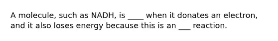 A molecule, such as NADH, is ____ when it donates an electron, and it also loses energy because this is an ___ reaction.