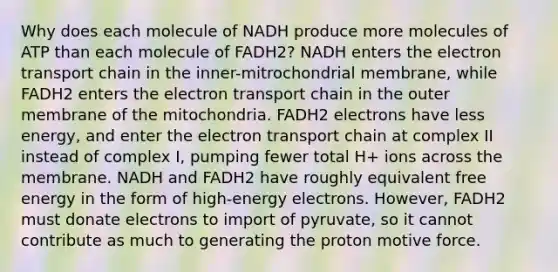 Why does each molecule of NADH produce more molecules of ATP than each molecule of FADH2? NADH enters the electron transport chain in the inner-mitrochondrial membrane, while FADH2 enters the electron transport chain in the outer membrane of the mitochondria. FADH2 electrons have less energy, and enter the electron transport chain at complex II instead of complex I, pumping fewer total H+ ions across the membrane. NADH and FADH2 have roughly equivalent free energy in the form of high-energy electrons. However, FADH2 must donate electrons to import of pyruvate, so it cannot contribute as much to generating the proton motive force.