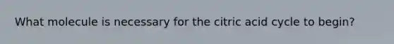 What molecule is necessary for the citric acid cycle to begin?