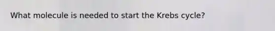 What molecule is needed to start the <a href='https://www.questionai.com/knowledge/kqfW58SNl2-krebs-cycle' class='anchor-knowledge'>krebs cycle</a>?