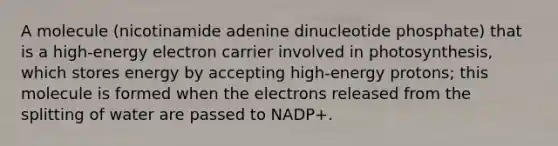 A molecule (nicotinamide adenine dinucleotide phosphate) that is a high-energy electron carrier involved in photosynthesis, which stores energy by accepting high-energy protons; this molecule is formed when the electrons released from the splitting of water are passed to NADP+.