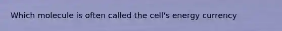Which molecule is often called the cell's energy currency