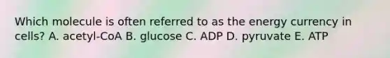 Which molecule is often referred to as the energy currency in cells? A. acetyl-CoA B. glucose C. ADP D. pyruvate E. ATP