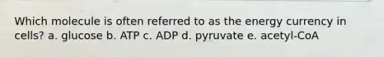 Which molecule is often referred to as the energy currency in cells? a. glucose b. ATP c. ADP d. pyruvate e. acetyl-CoA