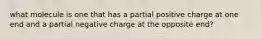 what molecule is one that has a partial positive charge at one end and a partial negative charge at the opposite end?