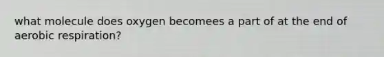 what molecule does oxygen becomees a part of at the end of aerobic respiration?