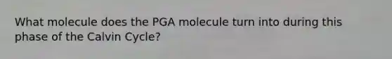 What molecule does the PGA molecule turn into during this phase of the Calvin Cycle?