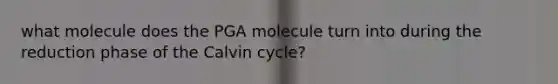 what molecule does the PGA molecule turn into during the reduction phase of the Calvin cycle?