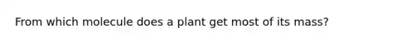 From which molecule does a plant get most of its mass?