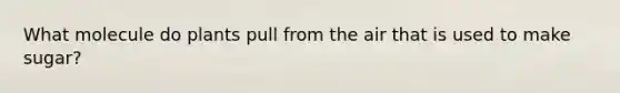 What molecule do plants pull from the air that is used to make sugar?