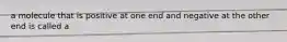 a molecule that is positive at one end and negative at the other end is called a