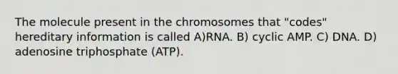 The molecule present in the chromosomes that "codes" hereditary information is called A)RNA. B) cyclic AMP. C) DNA. D) adenosine triphosphate (ATP).