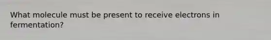 What molecule must be present to receive electrons in fermentation?