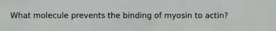 What molecule prevents the binding of myosin to actin?