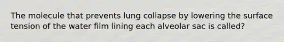 The molecule that prevents lung collapse by lowering the surface tension of the water film lining each alveolar sac is called?