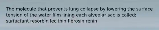 The molecule that prevents lung collapse by lowering the surface tension of the water film lining each alveolar sac is called: surfactant resorbin lecithin fibrosin renin