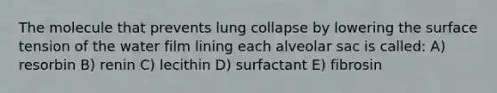 The molecule that prevents lung collapse by lowering the surface tension of the water film lining each alveolar sac is called: A) resorbin B) renin C) lecithin D) surfactant E) fibrosin