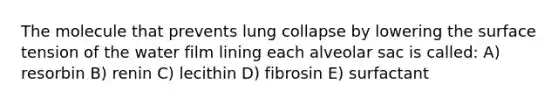 The molecule that prevents lung collapse by lowering the surface tension of the water film lining each alveolar sac is called: A) resorbin B) renin C) lecithin D) fibrosin E) surfactant