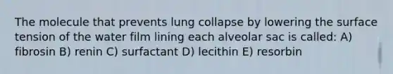 The molecule that prevents lung collapse by lowering the surface tension of the water film lining each alveolar sac is called: A) fibrosin B) renin C) surfactant D) lecithin E) resorbin