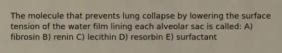 The molecule that prevents lung collapse by lowering the surface tension of the water film lining each alveolar sac is called: A) fibrosin B) renin C) lecithin D) resorbin E) surfactant