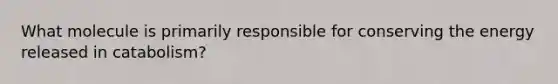 What molecule is primarily responsible for conserving the energy released in catabolism?