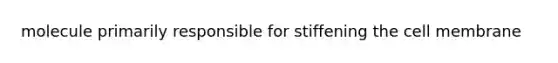 molecule primarily responsible for stiffening the cell membrane