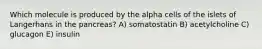 Which molecule is produced by the alpha cells of the islets of Langerhans in the pancreas? A) somatostatin B) acetylcholine C) glucagon E) insulin