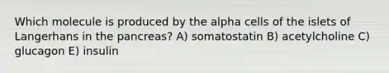 Which molecule is produced by the alpha cells of the islets of Langerhans in the pancreas? A) somatostatin B) acetylcholine C) glucagon E) insulin