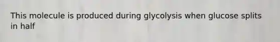 This molecule is produced during glycolysis when glucose splits in half