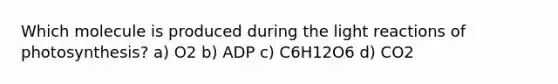 Which molecule is produced during the light reactions of photosynthesis? a) O2 b) ADP c) C6H12O6 d) CO2