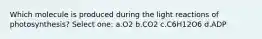 Which molecule is produced during the light reactions of photosynthesis? Select one: a.O2 b.CO2 c.C6H12O6 d.ADP