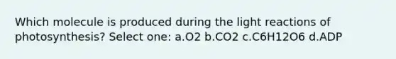 Which molecule is produced during the light reactions of photosynthesis? Select one: a.O2 b.CO2 c.C6H12O6 d.ADP