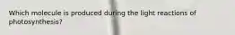 Which molecule is produced during the light reactions of photosynthesis?