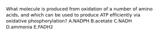 What molecule is produced from oxidation of a number of amino acids, and which can be used to produce ATP efficiently via oxidative phosphorylation? A.NADPH B.acetate C.NADH D.ammonia E.FADH2