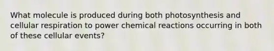 What molecule is produced during both photosynthesis and cellular respiration to power chemical reactions occurring in both of these cellular events?