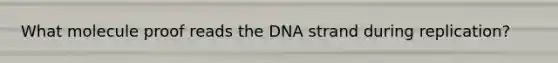 What molecule proof reads the DNA strand during replication?