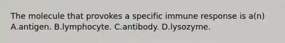 The molecule that provokes a specific immune response is a(n) A.antigen. B.lymphocyte. C.antibody. D.lysozyme.