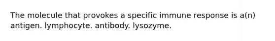 The molecule that provokes a specific immune response is a(n) antigen. lymphocyte. antibody. lysozyme.