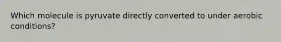 Which molecule is pyruvate directly converted to under aerobic conditions?