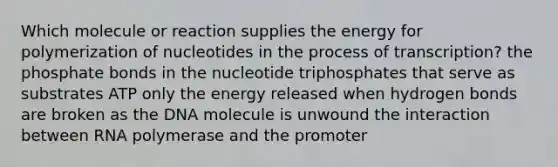 Which molecule or reaction supplies the energy for polymerization of nucleotides in the process of transcription? the phosphate bonds in the nucleotide triphosphates that serve as substrates ATP only the energy released when hydrogen bonds are broken as the DNA molecule is unwound the interaction between RNA polymerase and the promoter