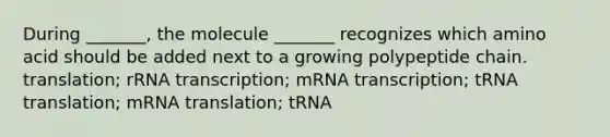 During _______, the molecule _______ recognizes which amino acid should be added next to a growing polypeptide chain. translation; rRNA transcription; mRNA transcription; tRNA translation; mRNA translation; tRNA