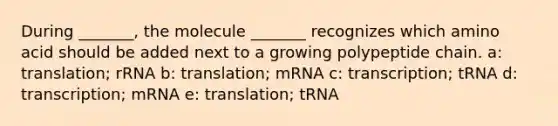 During _______, the molecule _______ recognizes which amino acid should be added next to a growing polypeptide chain. a: translation; rRNA b: translation; mRNA c: transcription; tRNA d: transcription; mRNA e: translation; tRNA