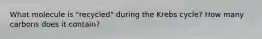 What molecule is "recycled" during the Krebs cycle? How many carbons does it contain?