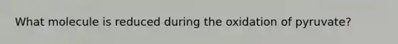 What molecule is reduced during the oxidation of pyruvate?