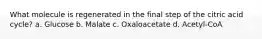 What molecule is regenerated in the final step of the citric acid cycle? a. Glucose b. Malate c. Oxaloacetate d. Acetyl-CoA