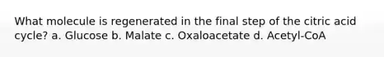 What molecule is regenerated in the final step of the citric acid cycle? a. Glucose b. Malate c. Oxaloacetate d. Acetyl-CoA